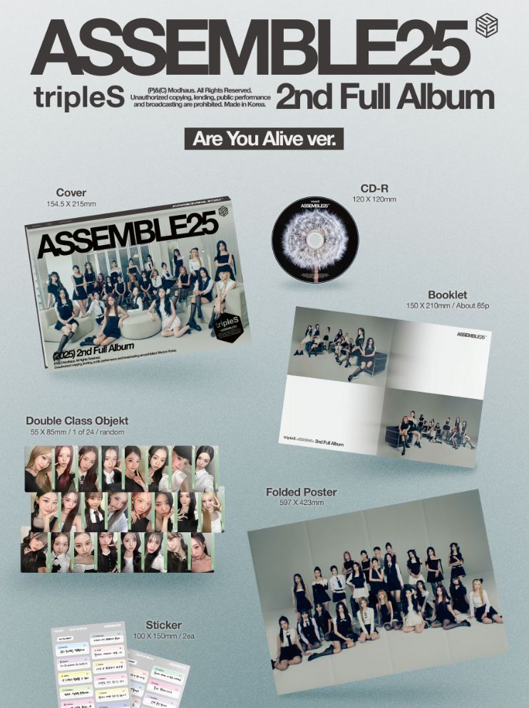TRIPLE S - ASSEMBLE25 Nolae