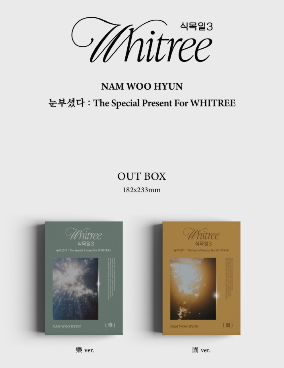 NAM WOO HYUN - THE SPECIAL PRESENT FOR WHITREE (눈부셨다)