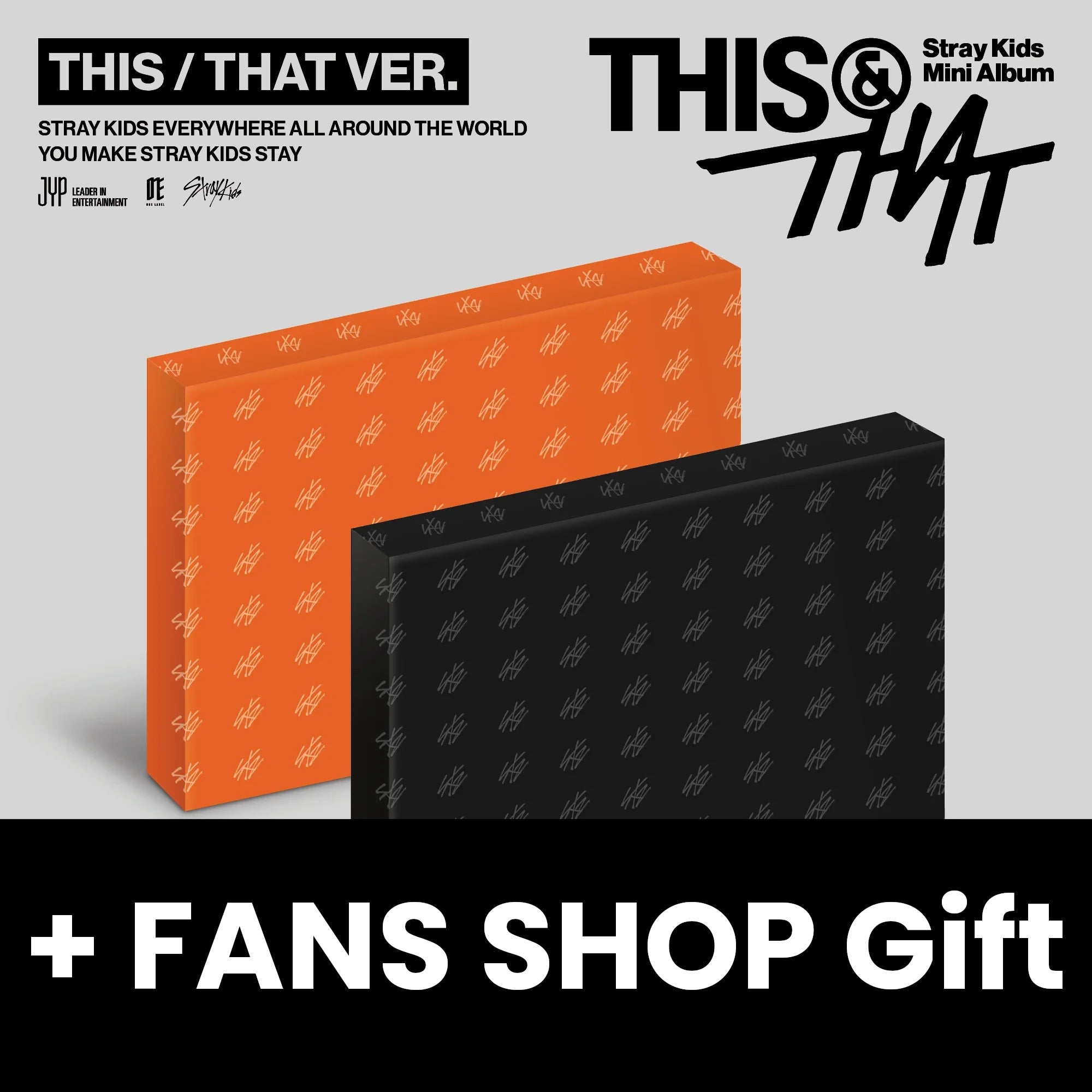 STRAY KIDS - THIS & THAT + FANS SHOP Gift