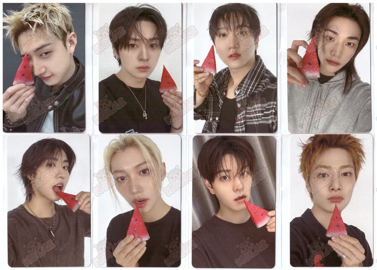 STRAY KIDS - THIS & THAT - TARJETA FOTOGRÁFICA FANS SHOP