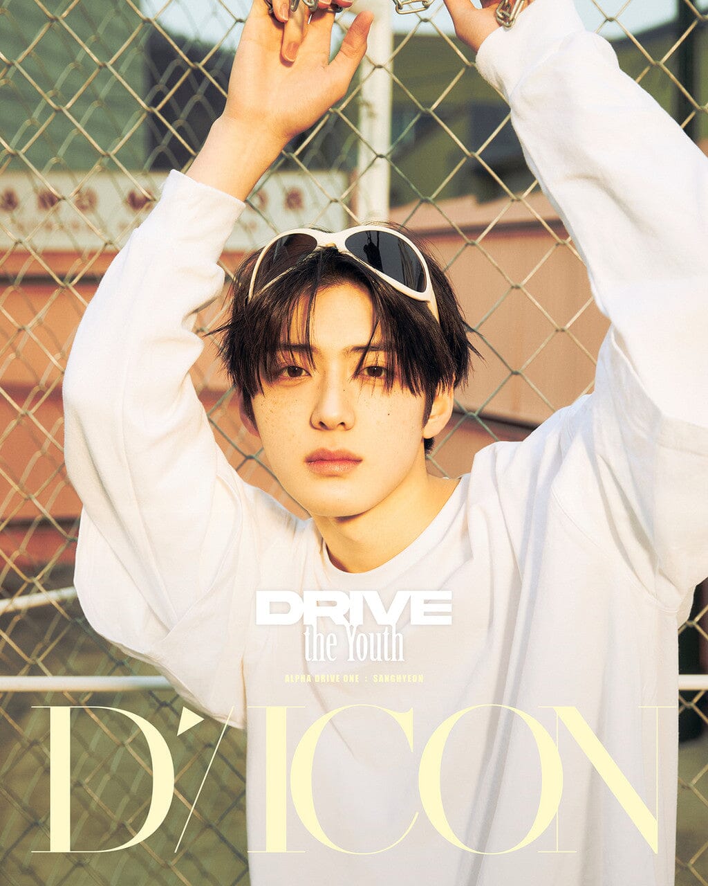 ALPHA DRIVE ONE - DICON VOLUME Nº33 Nolae