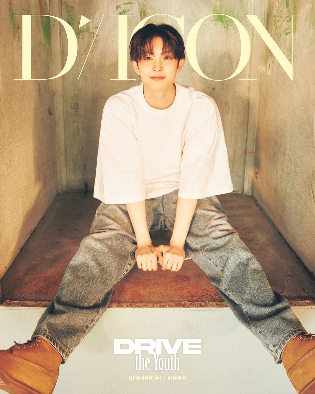 ald1 ALPHA DRIVE ONE ゴヌ DICON B ver. ALPHA DRIVE ONE - DICON VOLUME Nº33