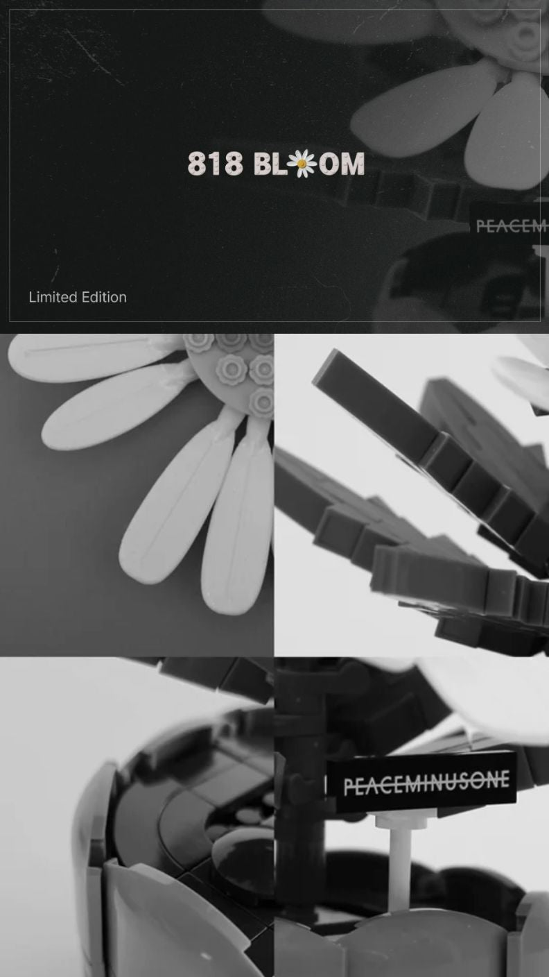 G-DRAGON (BIGBANG) - 'PEACEMINUSONE X OXFORD' 818 BLOOM (LIMITED EDITION) Nolae