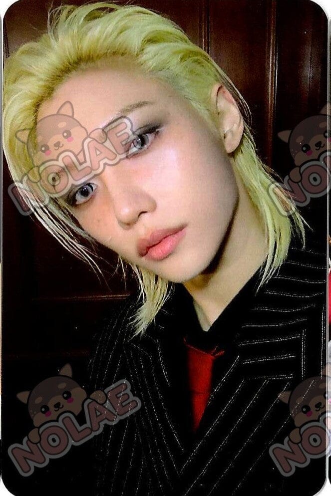 STRAY KIDS - KARMA - POB BDM PHOTOCARD Nolae