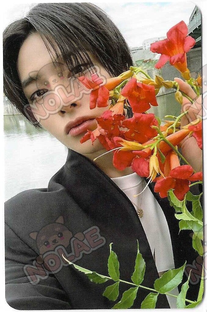 STRAY KIDS - KARMA - POP UP MD 1ST WEEK PHOTOCARD Nolae