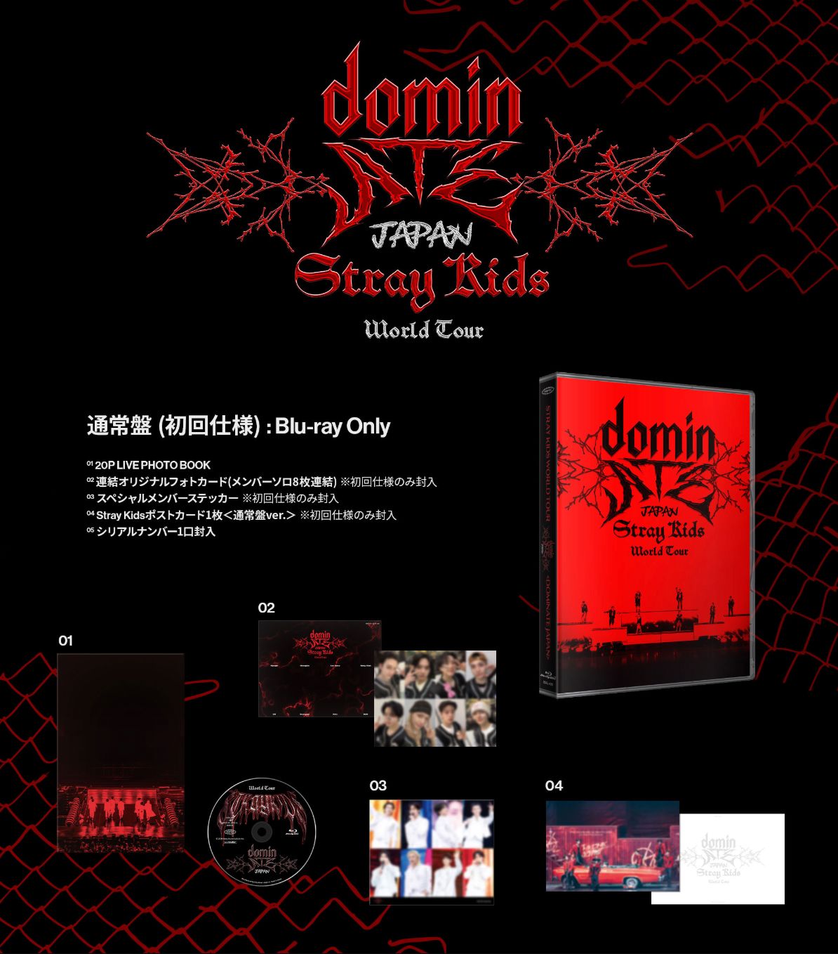 straykids dominATE Blu-ray トレカ コンプ 24枚 Stray Kids LIVE Blu