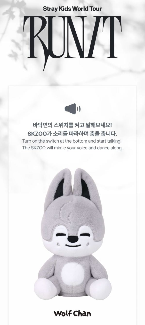 STRAY KIDS - WORLD TOUR 'RUN IT' MD Nolae