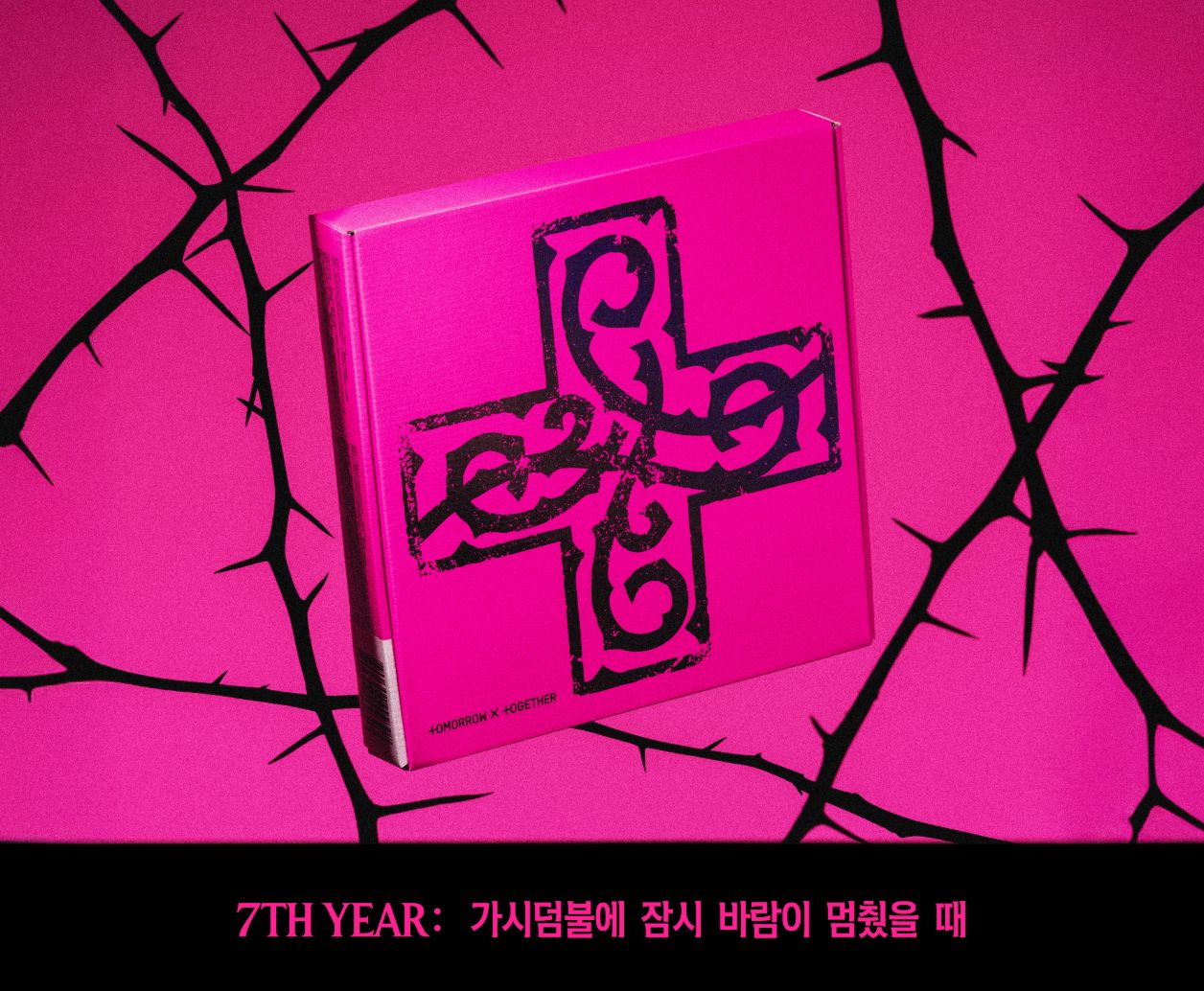 TXT - 7TH YEAR: WHEN THE WIND PAUSED AMONG THE THORNS (CUSHION OF THOR