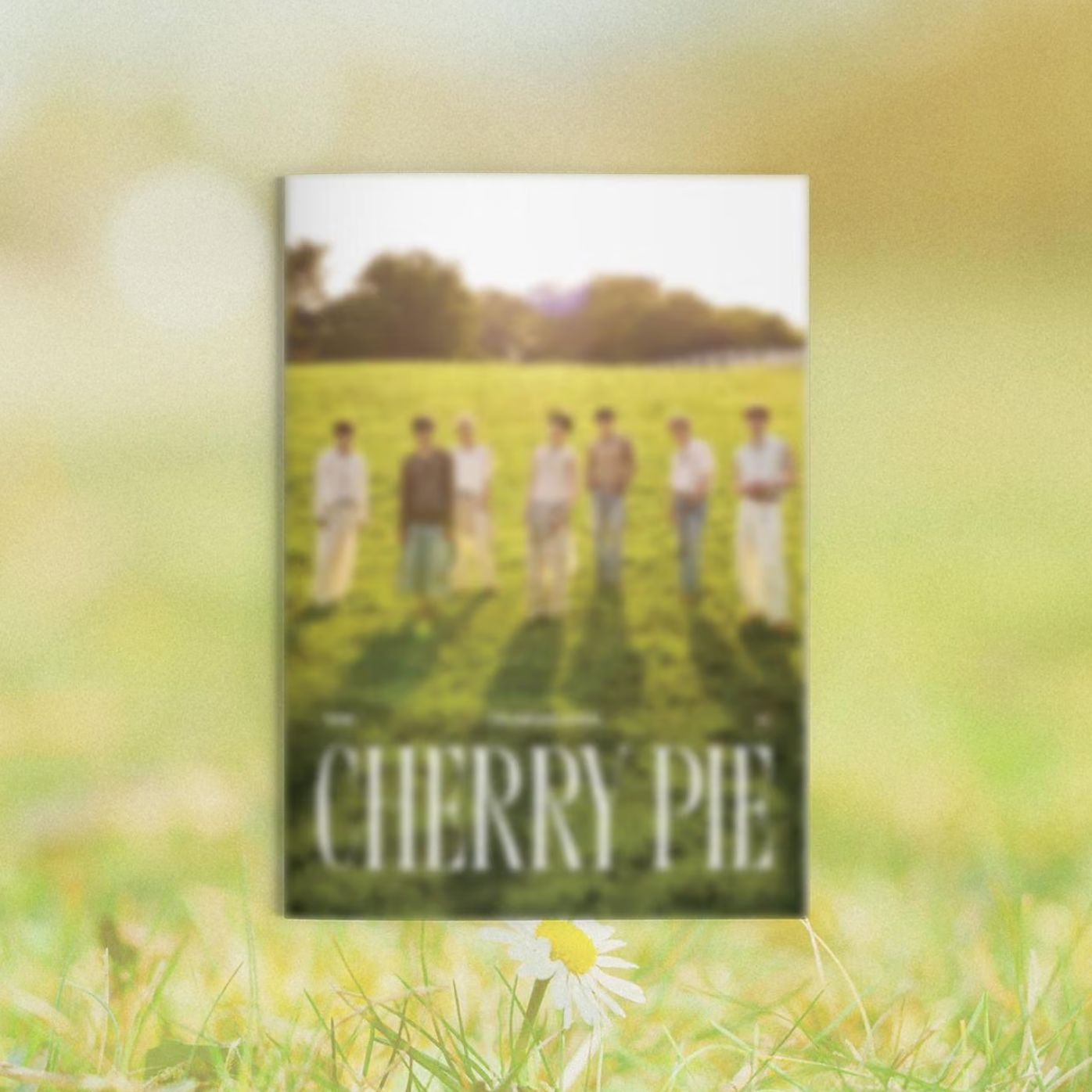 WHIB - CHERRY PIE Nolae