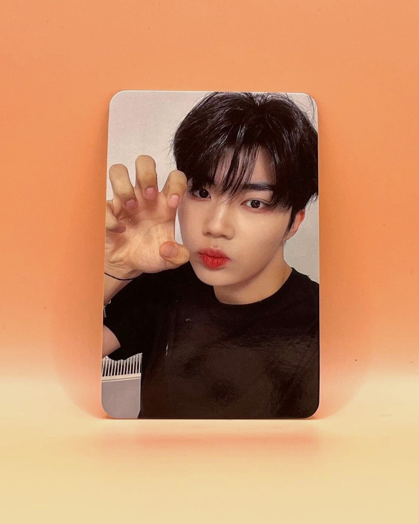 ZEROBASEONE (ZB1) - MELTING POINT (2nd Mini ALBUM) - Apple Music POB Photocard Nolae