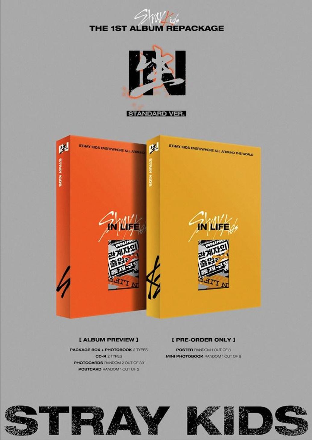 Stray Kids 未開封 IN生 限定盤 IN LIFE Stray Kids - [IN生 (IN LIFE)] Vol.1 Repackage (Standard Ver)
